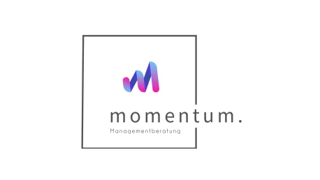 momentum. Managementberatung