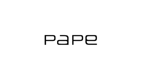 PAPE Consulting Group AG
